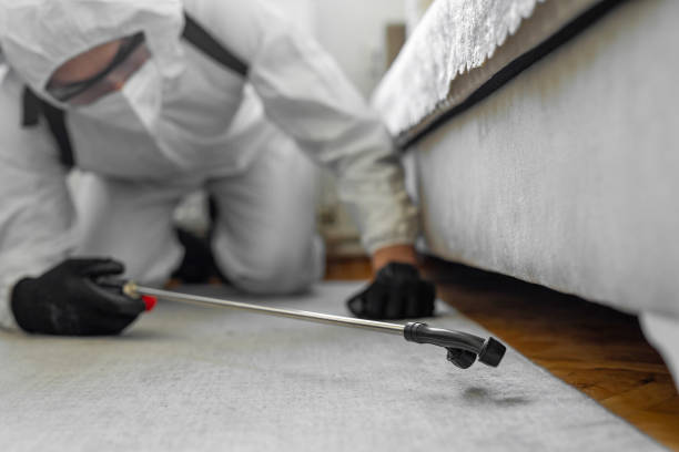 Professional Pest Control technician working in Murray County County, OK